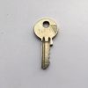 Key TAF1