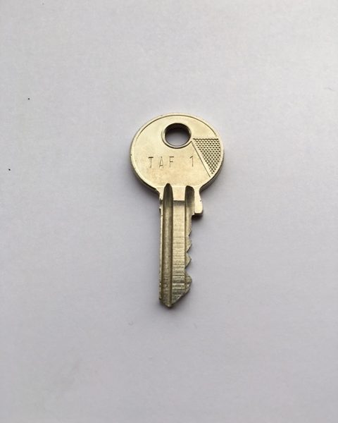 Key TAF1